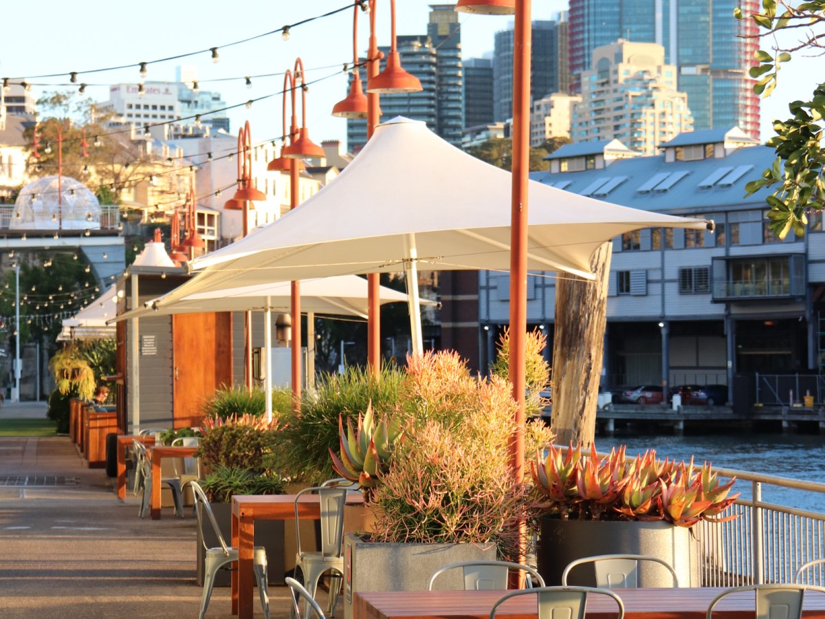 Экскурсия по Волш бэй/Walsh&nbsp;Bay