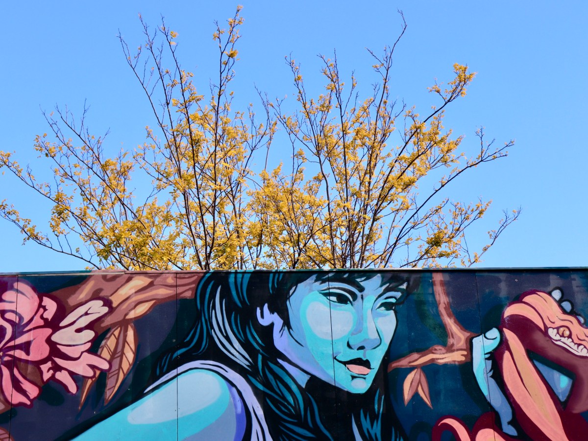 Экскурсия по Newtown