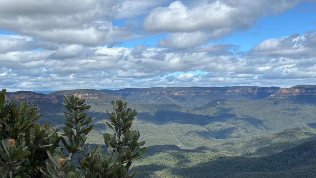 Поездка в Голубые&nbsp;горы
